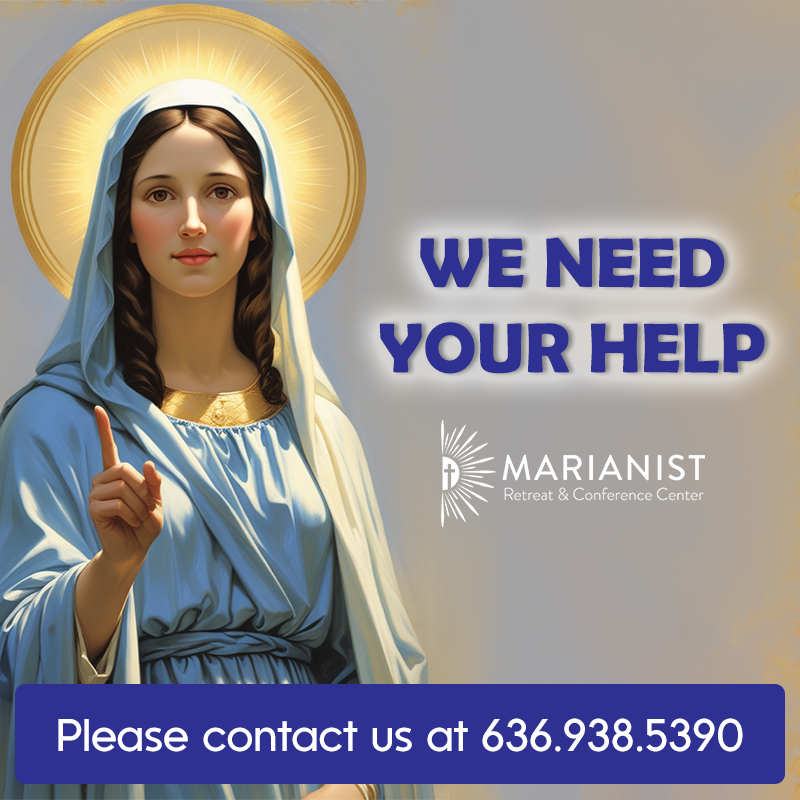 Help v2 We need your help